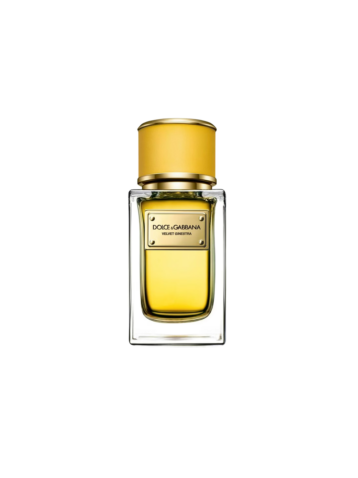 Velvet Ginestra Dolce&Gabbana