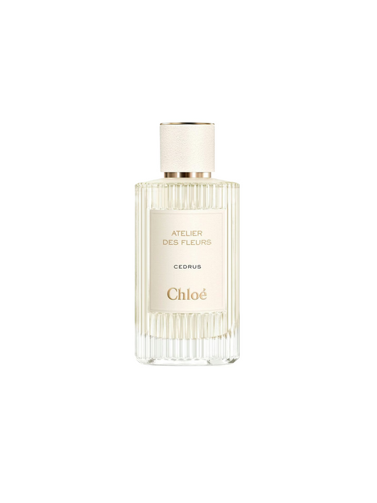 Cedrus Chloe